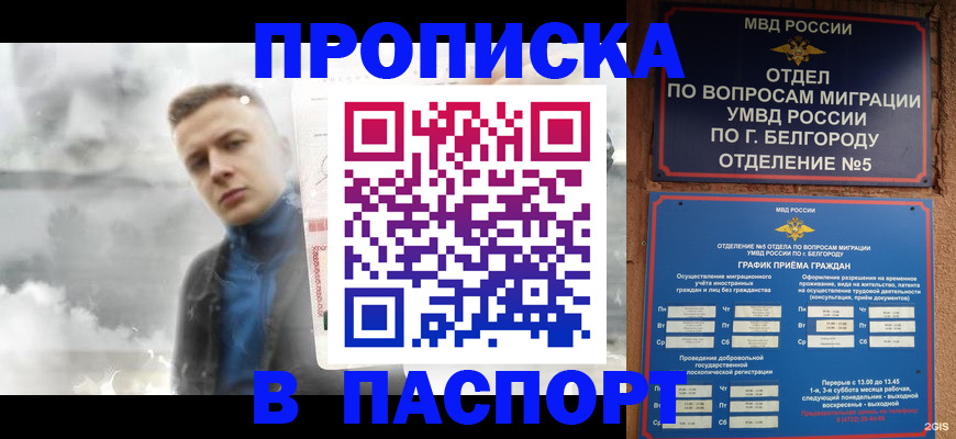 временная регистрация в Шебекино
